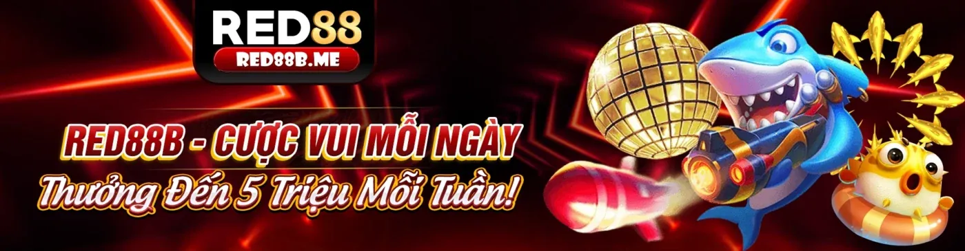Cách hy88 casino thu thập dữ liệu cá nhân